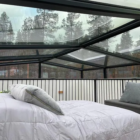 Levillas Levin Tuulahdus * シルッカ