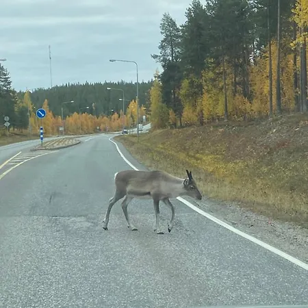 Levillas Levin Tuulahdus Apartment *