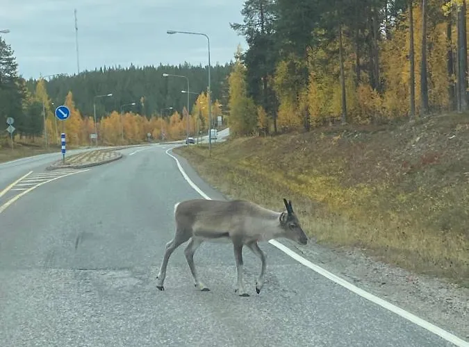 Levillas Levin Tuulahdus 公寓 *