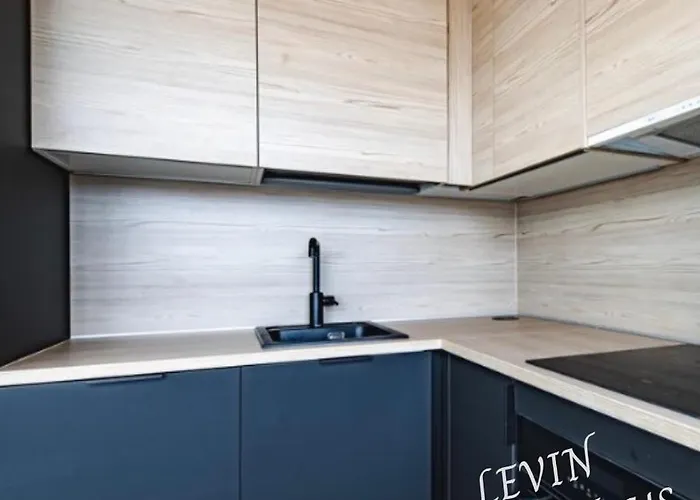 公寓 Levillas Levin Tuulahdus