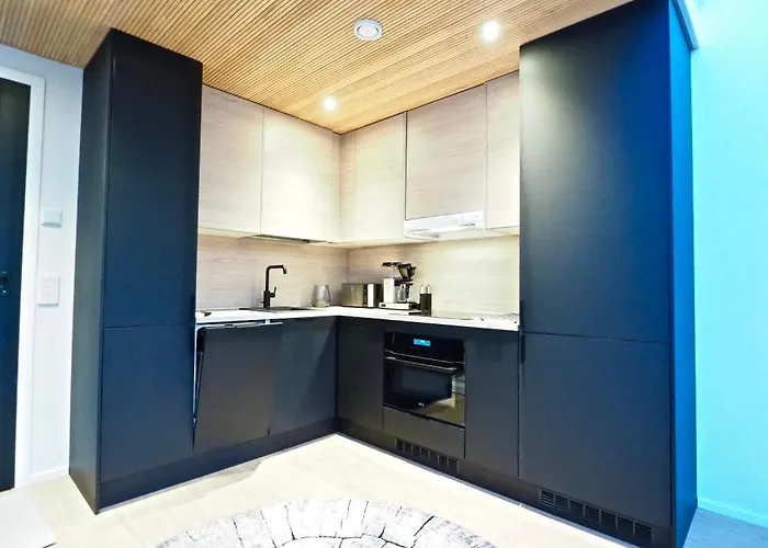 Levillas Levin Tuulahdus 公寓